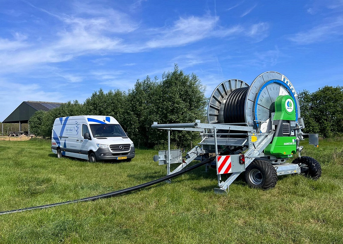 dorsen